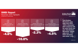 BMBI Report - November 2024